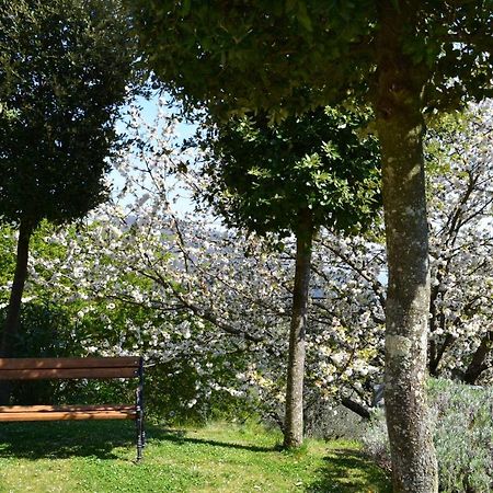 Monte A Pescia Villa Exterior photo